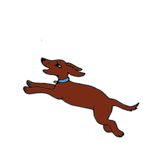 dog-iso-square