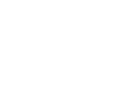 bob-schneider-250×188-V2